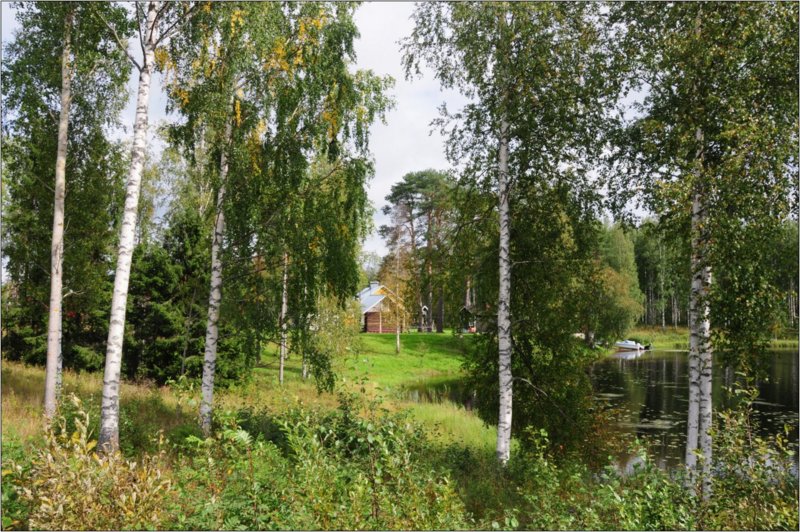 dsc1__122_.jpg
